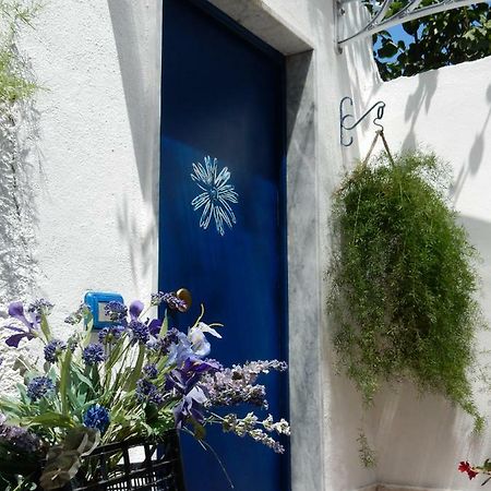 La Casetta Blu Daire Torre del Greco Dış mekan fotoğraf