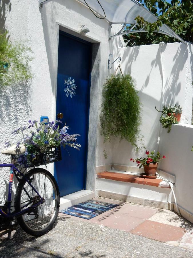 La Casetta Blu Daire Torre del Greco Dış mekan fotoğraf